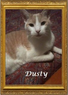 Dusty Meier. 1997-2015